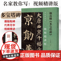 颜真卿《多宝塔碑》名家教你写视频精讲版 楷书碑帖简体释文视频精讲书法爱好者初学者及辅导班用书 河南美术