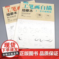 经典全集 工笔画白描描摹本上下2册/基础训练篇+强化提高篇 花卉植物禽鸟动物绘画临摹本入门零基础书线条浅印