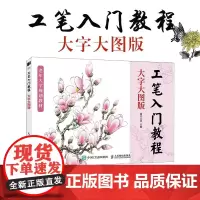 工笔入门教程 大字大图版 正统工笔花鸟技法入门基础教程书中老年人学国画中国工笔画稿白描勾线上色涂色花鸟技法入门临摹