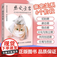 感受亲密 在关系中获得幸福的艺术 亲密关系心理学书籍非暴力沟通友情朋友关系家庭关系婚恋与两性关系教程婚姻生活艺术