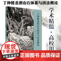 丁仲修北派山石体系与技法概论 笔墨技法绘画书 艺术绘画 国画绘画系列 北京工艺美术出版社 正版