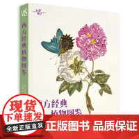 西方经典植物图鉴 148张高清手绘植物图集 精选26位植物学家和插图画家的精美植物插图 1世纪至19世纪末植物典籍插图精