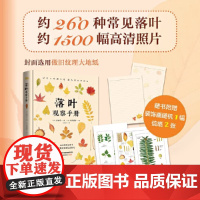 正版落叶观察手册 260 种常见且具特征性的落叶 约 1500 幅彩色照片 通过叶片辨识树木 植物科普 带孩子一起认识落