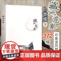 正版藏地意象 卜世成著 视觉设计书籍 摄影色彩与光线 摄影设计书籍 构图光线基础 场景视觉 绘画艺术书籍 绘画与摄影