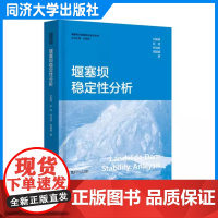 堰塞坝稳定性分析 石振明 同济大学出版社