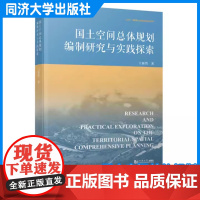 国土空间总体规划编制研究与实践探索 王新哲 从事国土空间总体规划的研究成果关键技术问题 同济大学出版社