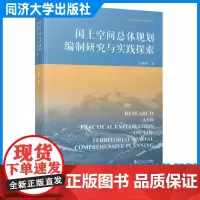 国土空间总体规划编制研究与实践探索 王新哲 从事国土空间总体规划的研究成果关键技术问题 同济大学出版社