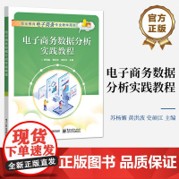 店 电子商务数据分析实践教程 数据采集 数据分类与处理 数据处理与描述性分析讲解 苏杨媚著 电子工业出版社