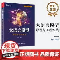 店 大语言模型:原理与工程实践 大语言模型基础技术讲解 预训练数据构建介绍 杨青 编 电子工业出版社
