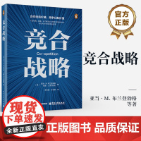 店 竞合战略 亚当 · M. 布兰登勃格 合作创造价值 竞争分配价值 策略工具的思路方法和经验总结 AI时代的商业智慧