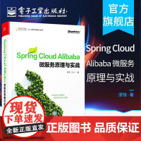 店 Spring Cloud Alibaba 微服务原理与实战 Java架构 微服务设计原理与架构 响应式微服务架构设计