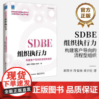店 SDBE组织执行力 构建客户导向的流程型组织 企业战略管理执行力关键措施书籍 企业管理书籍 企业战略和执行力书籍