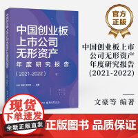 店 中国创业板上市公司无形资产年度研究报告 2021-2022 下一代数字政府平台新理念新技术新平台及产业实践