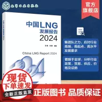 中国LNG发展报告2024 王恺 天然气 液化天然气 LNG消费 LNG贸易 LNG价格 系统分析阐述中国LNG行业发展