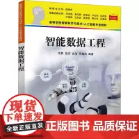 智能数据工程 岳昆等著 9787302682615 清华大学出版社 高等学校智能科学与技术/人工智能专业教材