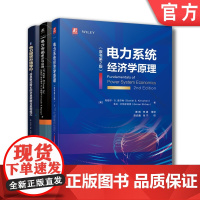 套装 正版 电力市场经济学 共3册 电力系统经济学原理+理论与应用+电力市场导论信息驱动增长的交易策略与盈利模式