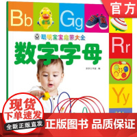 正版 聪明宝宝启蒙大全 数字字母 天露霖 0至4岁幼儿早教 钟表 日历 单双数 游戏 纸币 英文 认知能力培养 儿童