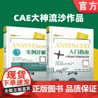 套装 正版 共2册 CAE大神流沙作品 ANSYS Fluent 实例详解 ANSYS CFD 入门指南计算流体力学