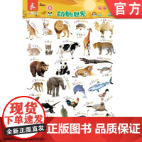 正版 瑞莉兔双面发声大挂图 动物世界 恐龙王国 海润阳光 触摸按键 儿童认知能力教育 幼儿早教 小儿益智