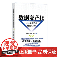 数据资产化 企业数据价值挖掘与实现 郑清元 郭培明 杨洋 北京大学出版社 9787301360484