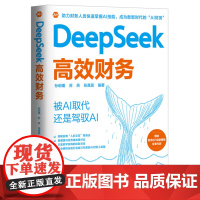 DeepSeek高效财务 孙玥璠 苏芮 张真昊 中国人民大学出版社 9787300340364