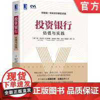 正版 投资银行 估值与实践 简 菲比希 投资组合 金融分析 投资回报率 现金流贴现模型 股利贴现 资产负债表 净营收