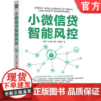 正版 小微信贷智能风控 胡勇 冯占鹏 郭堃 刘思静 著 小微信贷风控智能化转型标准著作 9787111755593