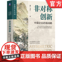 正版 非对称创新:中国企业赶超战略 魏江、刘洋 著 中国管理、中国企业正在崛起 9787111763154 机械工业