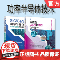 套装 正版 SiC和GaN功率半导体技术 共2册 垂直型GaN和SiC功率器件 SiC GaN功率半导体封装和可靠性