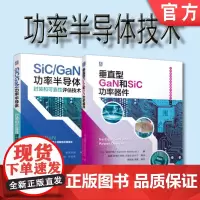 套装 正版 SiC和GaN功率半导体技术 共2册 垂直型GaN和SiC功率器件 SiC GaN功率半导体封装和可靠性