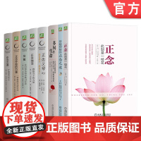 套装 卡巴金作品集 全8册 机械工业出版社