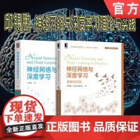 套装 正版 邱锡鹏神经网络与深度学习 共2册 神经网络与深度学习 神经网络与深度学习案例与实践 飞浆教材
