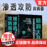 套装 正版 渗透攻防 共2册 域渗透攻防指南 脑洞大开 渗透测试另类实战攻略