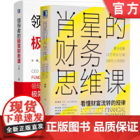 正版套装 领导者的极简财务课+肖星的财务思维课 王峰 肖星 领导者财务一本通 人人都能学懂的财务知识 财务分析 投资