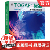 正版 TOGAF标准第10版系列指南 中文版:通用性指导、建设EA团队 开梵标准(The Open Group) 9
