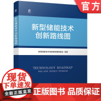 新型储能技术创新路线图 新型储能技术创新路线图编委会 新型电力系统 新型储能 新能源 储能系统 储能电站 电