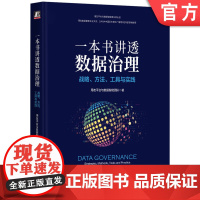 正版 一本书讲透数据治理 战略 方法 工具与实践 用友平台与数据智能团队 用户画像 DAMA 标签 数据管理