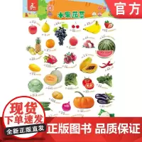 正版 瑞莉兔双面发声大挂图 水果蔬菜 日常用品 海润阳光 触摸按键 儿童认知能力教育 幼儿早教 小儿益智