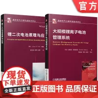 正版套装 锂离子电池管理系统系列 锂二次电池原理与应用+大规模锂离子电池管理系统(全2册)