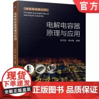 正版 电解电容器原理与应用 陈之勃 陈永真 反激式 正激式 桥式 LLC谐振式变换器 功率因数校正PFC电路 开关电