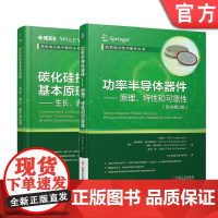 套装 正版 新型电力电子器件丛书 共2册 碳化硅技术基本原理生长表征器件和应用 功率半导体器件原理特性和可靠性