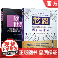 套装 正版 集成电路与MEMS 共2册 芯路 一书读懂集成电路产业的现在与未来 一砂一世界 一书读懂MEMS产业的现