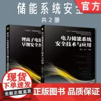 套装 正版 储能系统安全 共2册 电力储能系统安全技术与应用 锂离子电池储能电站早期安全预警及防护