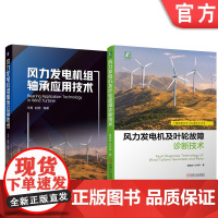 套装 正版 风力发电机故障诊断及应用技术 共2册 风力发电机及叶轮故障诊断技术 风力发电机组轴承应用技术