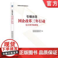正版 引领示范 国企改革三年行动综合典型案例集 改革办 新闻中心 顶层架构 关键环节 用人机制 分权体系 数字化供应