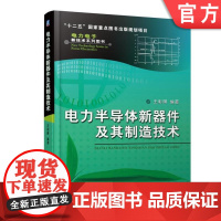 正版 电力半导体新器件及其制造技术 王彩琳 可靠性与失效机理 功率二极管 集成门极换流晶闸管 绝缘栅双极型晶体管 数