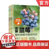 套装 正版 NHK园艺指南 共3册 图解蓝莓整形修剪与栽培月历 图解葡萄整形修剪与栽培月历 图解柑橘类整形修剪与栽培