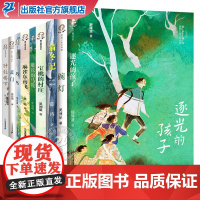 故乡·童年原创儿童文学全9册逐光的孩子猫冬记宝桃的村庄麻雀东南飞蓝门碗灯巧鸟雕花的马鞍钟鼓楼下吴洲星