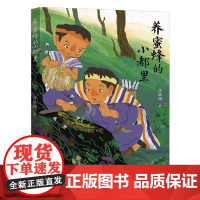 养蜜蜂的小都里儿童绘本3-6-7-8周岁幼儿园早教书籍启蒙一二三年级小学生课外阅读书籍睡前故事