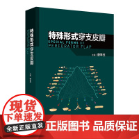 特殊形式穿支皮瓣 唐举玉 主编 临床血管体区术式发展皮瓣唐氏分类法骨科手外科显微外科医学原创性 人民卫生出版社97871
